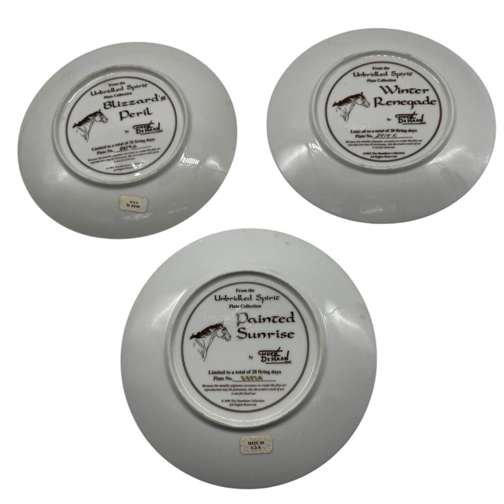 Unbridled Spirit Chuck Dehaan Horse Scene Decorative Art Plates Set Of 3 Vintage - Picture 2 of 10